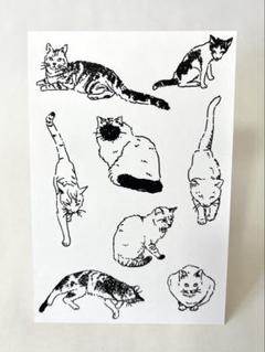猫 手描きイラスト デジタル オリジナル ハガキサイズ ポストカード ケース付き