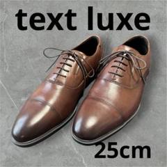✨美品✨テクシーリュクス ストレートチップ アシックス 本革 25cm
