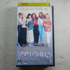 2025年最新】マグノリアの花たち dvdの人気アイテム - メルカリ