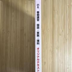希学園　オリジナルテキスト　6年生 希学園 小6 ベーシック 算数 Pコース オリジナルテキスト 第1/2
