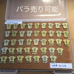 埼玉西武ライオンズ 2011 2010ピンバッチ 42個セット バラ売り
