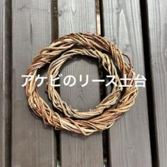 あけび ランナー ツル✳️蔓 1キロ✳️かご編み 乱れ編み リース 木通 一点物｜あけびかご｜皿｜トレイ｜飾り台｜乱れ編み｜中サイズ