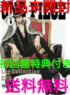 初回盤特典CP9ログコレクションワンピースニコロビンフランキー