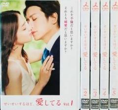 武井咲☆滝沢秀明『せいせいするほど、愛してる』レンタル落ち