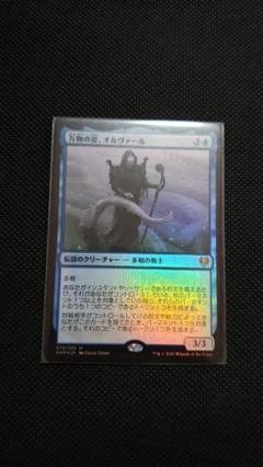 MTG 万物の姿、オルヴァール　foil ２枚セット Amazon.co.jp: MTG万物の姿、オルヴァール Foil : Toys & Games