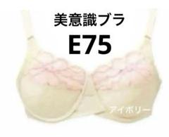 シャルレ　美意識ブラ　E75 シャルレ / 美意識ブラジャーの公式商品情報｜美容・化粧品情報