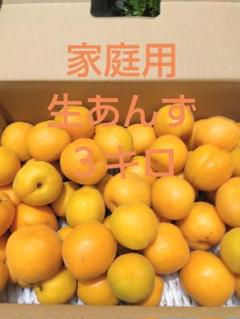 家庭用生あんず６キロ 信州千曲市森あんずの゙里産　生産者直売 信州千曲市森あんずの里産 生産者直売杏(生あんず)6キロ - メルカリ
