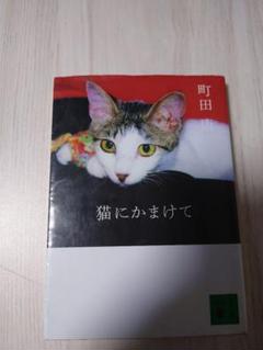 【中古】 猫本 ２/講談社/講談社 2025年最新】猫にかまけての人気アイテム - メルカリ