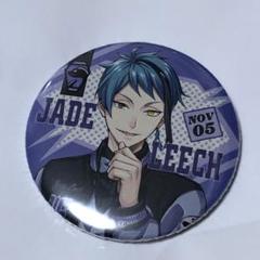 ツイステ　ジェイド　缶バッジ　ユニオンバースデー　アニメイト限定 ディズニー ツイステッドワンダーランド』 ユニオンバースデー