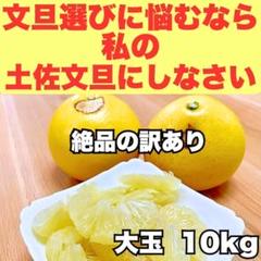 【厳選】【在庫僅少】絶品の訳あり：大玉10kg 土佐文旦 厳選】【在庫僅少】絶品の訳あり：大玉10kg 土佐文旦 - メルカリ