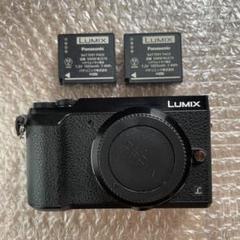 2025年最新】lumix gx7mk2 ボディの人気アイテム - メルカリ