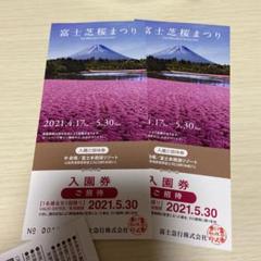 富士芝桜まつり 入園券