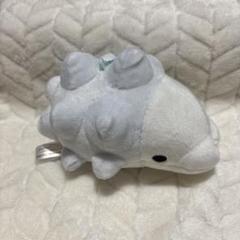 ❤新品・紙タグ付き❤ ポケモン もっちり ユキハミ ぬいぐるみ ポケモンセンター Amazon.co.jp: ポケモンセンターオリジナル もっちりぬいぐるみ