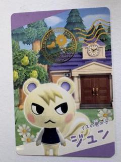 どうぶつの森 ジュン どうぶつの森 ALL STAR COLLECTION ぬいぐるみ DP26 ジュン(S