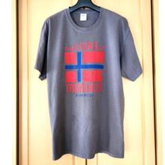 アメカジ古着ノルウェー国旗ジム・ポッターメッセージTシャツ