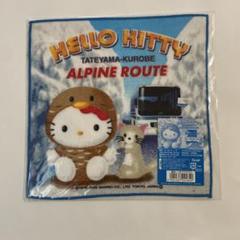 2025年最新】アルペンルート キティの人気アイテム - メルカリ