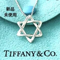 新品仕上げ済★TIFFANY　ティファニー　スターオブダビデ　ネックレス　925 ✨極美品✨ティファニー スター オブ ダビデ ネックレス