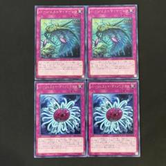 遊戯王　バージェストママーレラ　30枚セット b Amazon.co.jp: 遊戯王オフィシャルカード バージェストママーレ