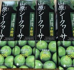 【4本セット】山原シークヮーサー(化学肥料・農薬(栽培期間中)不使用) 4本セット】山原シークヮーサー(化学肥料・農薬(栽培期間中)不