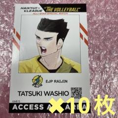 ハイキュー Vリーグ ポスター 木兎光太郎 白馬芽生 鷲尾辰生