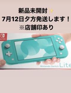 Nintendo Switch NINTENDO SWITCH LITE ター…