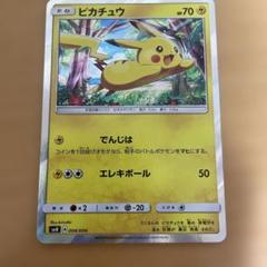 未開封　ピカチュウと新しい仲間たち ピカチュウ 買取 | [SM00] ピカチュウと新しい仲間たち