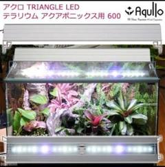 2025年最新】triangle grow 600の人気アイテム - メルカリ