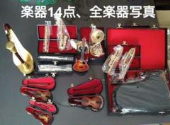✭新品、未使用品ミニチュアオーケストラ楽器14個 ✭新品、未使用品ミニチュアオーケストラ楽器14個 - メルカリ