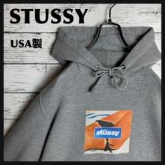 【激レア‼︎】【USA製】STUSSY◎ボックスロゴ パーカー C644 激レア‼︎】【USA製】STUSSY◎ボックスロゴ パーカー C644