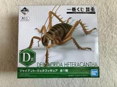 一番くじ 昆虫 LIFE with INSECT D賞　ジャイアント・ウェタ FIG]ジャイアント・ウェタ 「一番くじ 昆虫 LIFE with INSECT