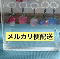 悪魔の実　めじるしアクセサリー　ONE PIECE コンプリート