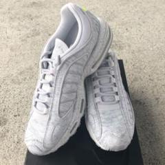 新品エア マックス テイルウィンド 4 'Grey Ripstop'