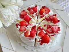 §§カットストロベリーホールケーキ§§フェイクスイーツ