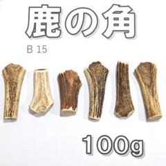 minoru様ご確認用　日本鹿角 鹿の角 B15- 6本セット 約100g 鹿角 鹿ツノ しかつの - メルカリ
