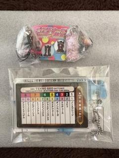 雑誌で紹介された 2025年最新】アイドルホースミニコレクション イクイノックスの スポーツ