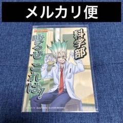 くじメイト Dr.STONE 千空 シャボン玉 缶バッジ3点セット カラオケまねきねこ Dr.STONE くじメイト シャボン玉 石神千空
