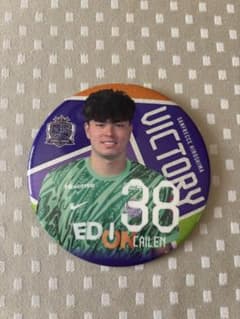 サンフレッチェ広島 2012 バッチコレクション 限定1600個】サンフレッチェ広島 田中聡 勝利記念 缶バッジ