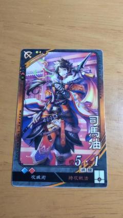三国志大戦4〜6 通常版、ぽけっと版、遊軍 全1839枚フルコンプ 2025年最新】三国志大戦ぽけっとの人気アイテム - メルカリ