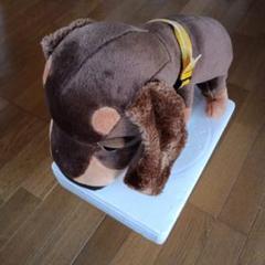 ぬいぐるみ。犬。