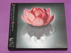 2025年最新】サディスティックミカ バンド DVDの人気アイテム