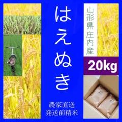 ✨新米✨はえぬき✨令和二年産✨✨山形県庄内産✨