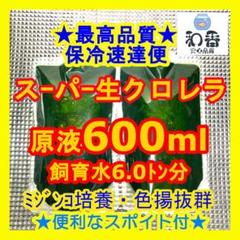 ★翌日着速達便★スーパー生クロレラ原液600mlめだか金魚色揚針子PSB稚魚J