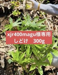 ふく　モミジガサ　スドキ　3㎏ 楽天市場】シドケの通販