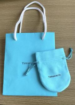 正規品　美品ティファニーパスポート、ケース巾着袋 ♥極美品♥Tiffany ティファニー 巾着袋 保存袋 ショップ袋