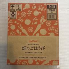 カゴメ KAGOME ゆっくり味わう 畑のごほうび 1箱+18本 (合計48本) ショップチャンネル 「野菜の日（8月31日）」に向け、カゴメと