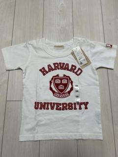 HARVARD UNIVERSITY Tシャツ 新品未使用タグ付き