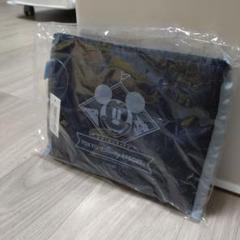 【新品未使用】東京ディズニーリゾート エコバッグ　大きめ