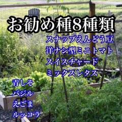 8種類のお勧め野菜種