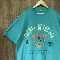 80s USA製 Hanes プリント　Tシャツ シングルステッチ　dot063