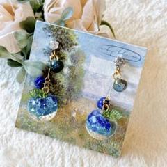 handmade ❁⃘*.゜ 海りんごのピアス